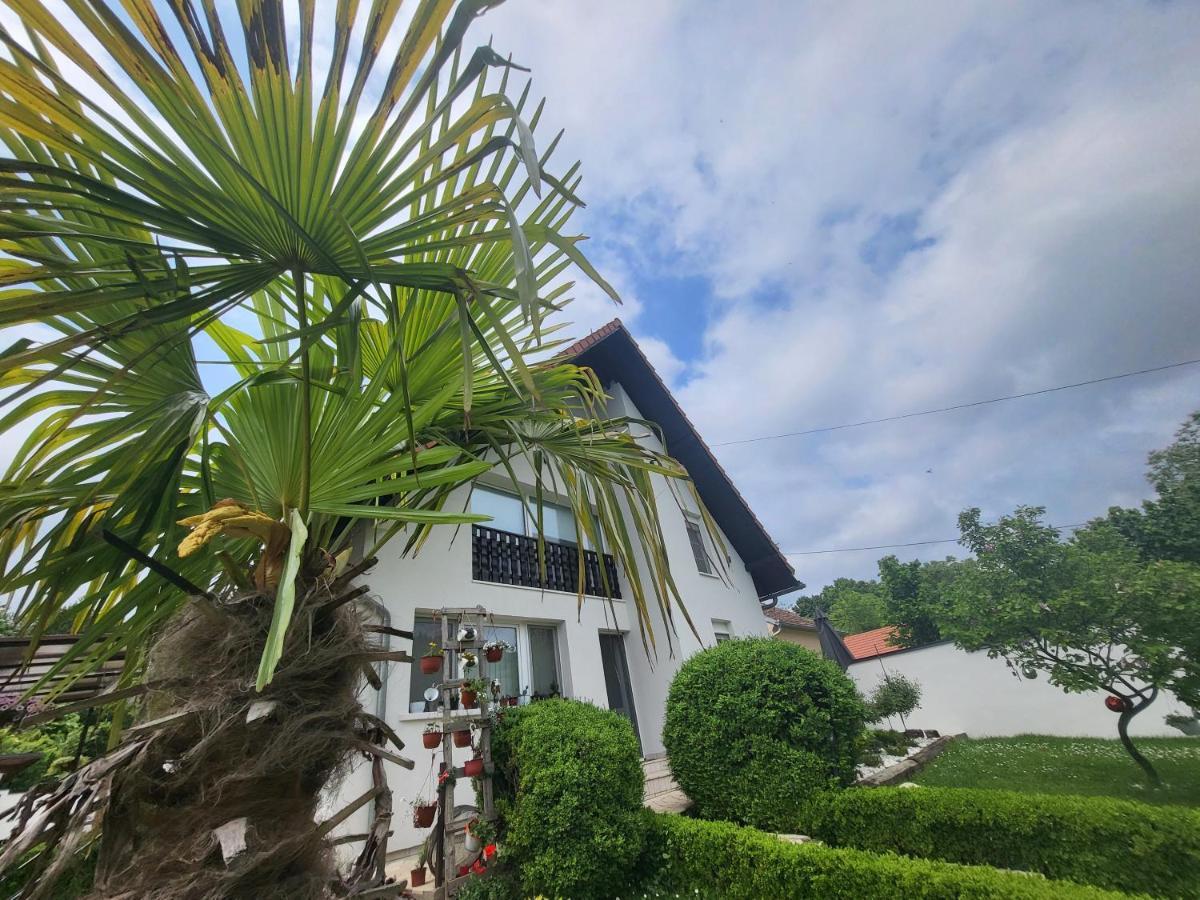 Vila Jovana Vrdnik Buitenkant foto