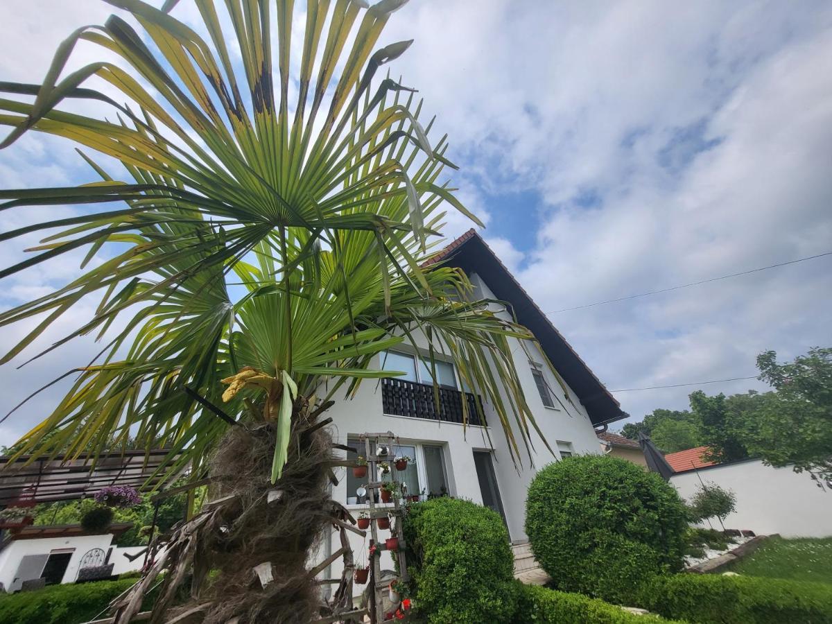 Vila Jovana Vrdnik Buitenkant foto