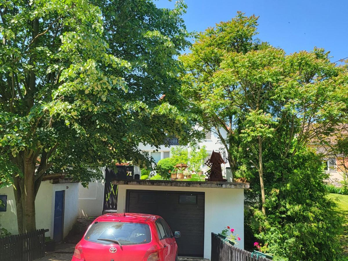 Vila Jovana Vrdnik Buitenkant foto