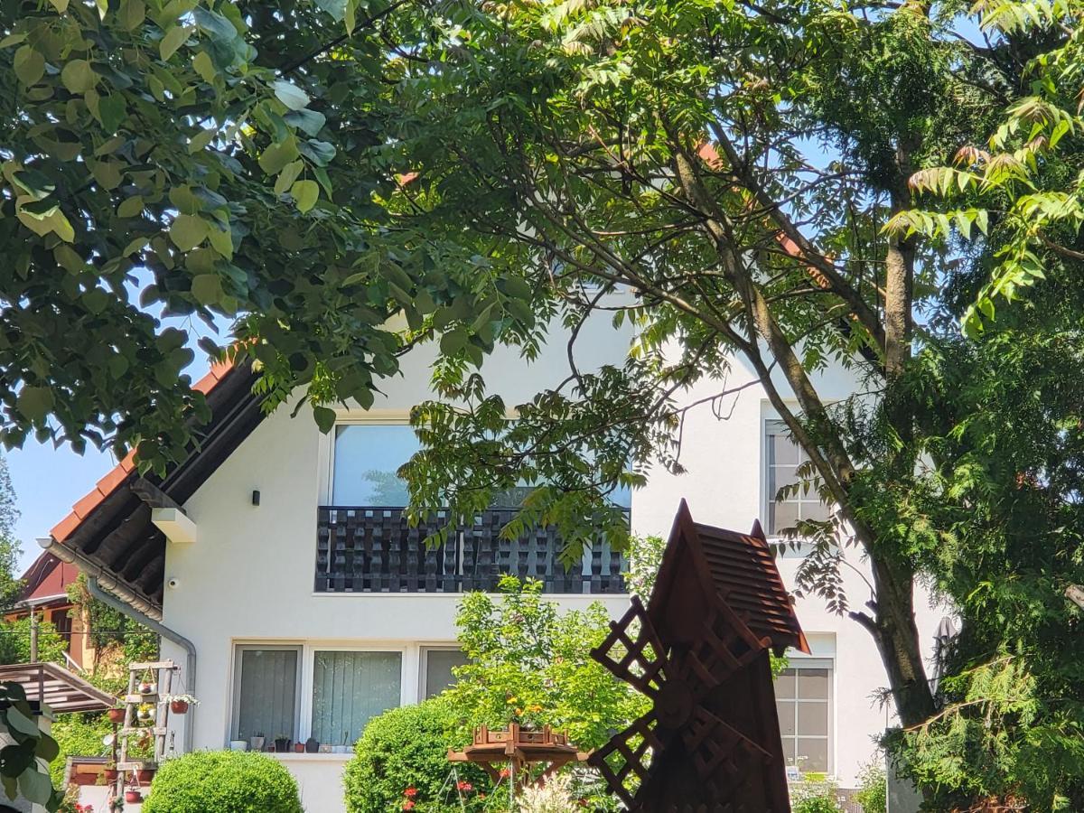 Vila Jovana Vrdnik Buitenkant foto