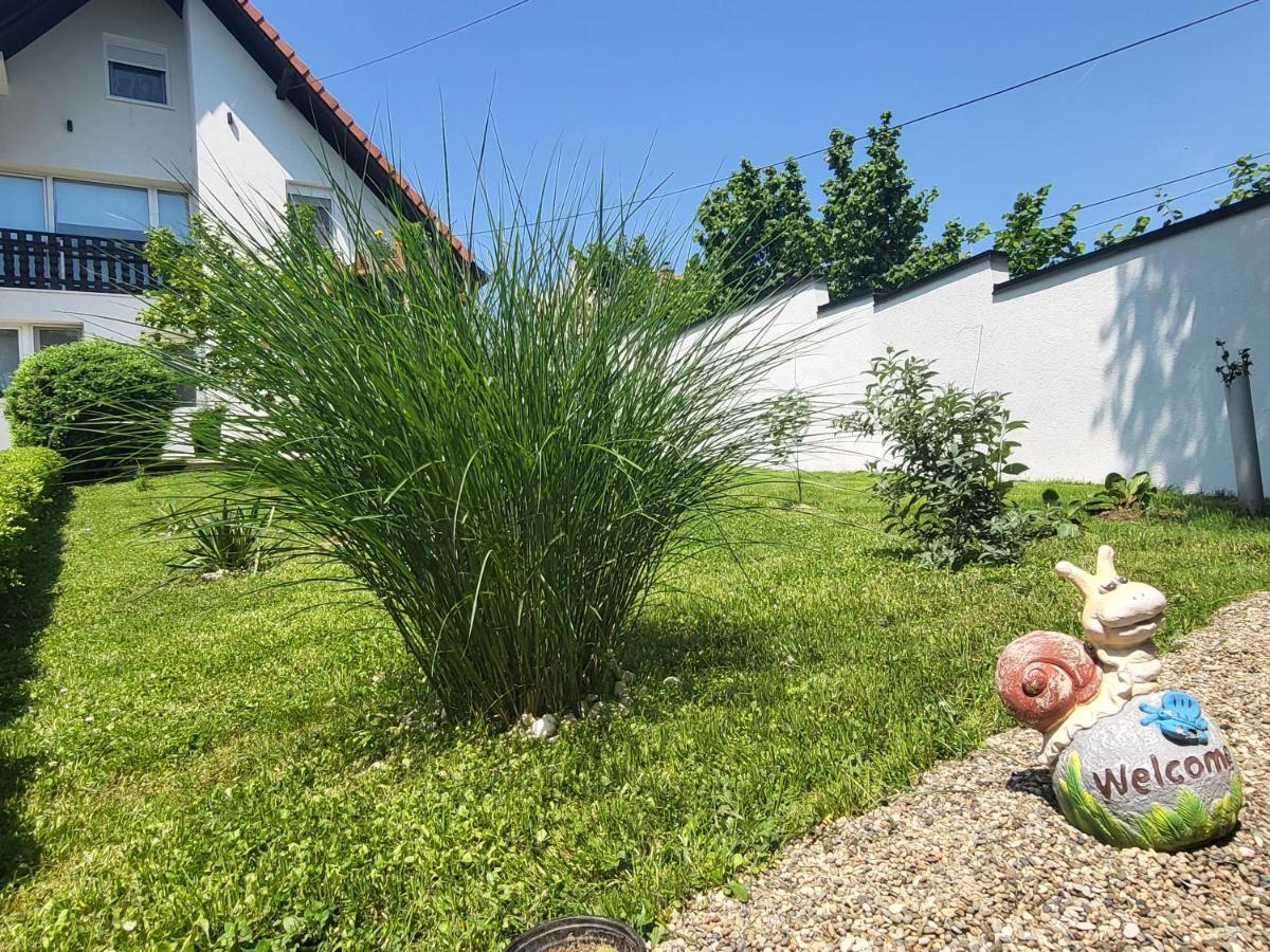 Vila Jovana Vrdnik Buitenkant foto