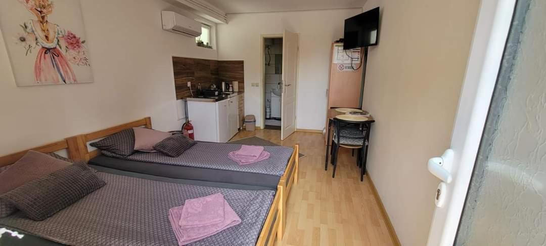 Vila Jovana Vrdnik Buitenkant foto