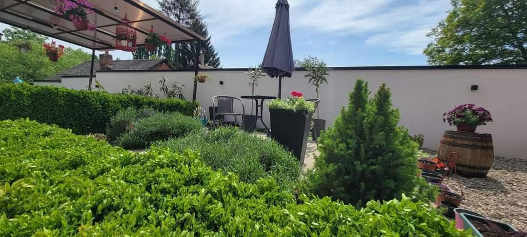 Vila Jovana Vrdnik Buitenkant foto