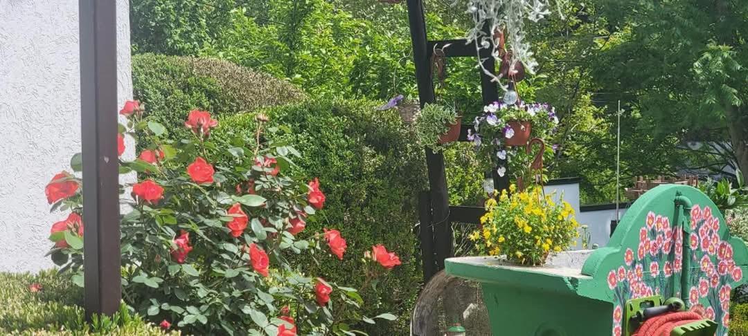 Vila Jovana Vrdnik Buitenkant foto